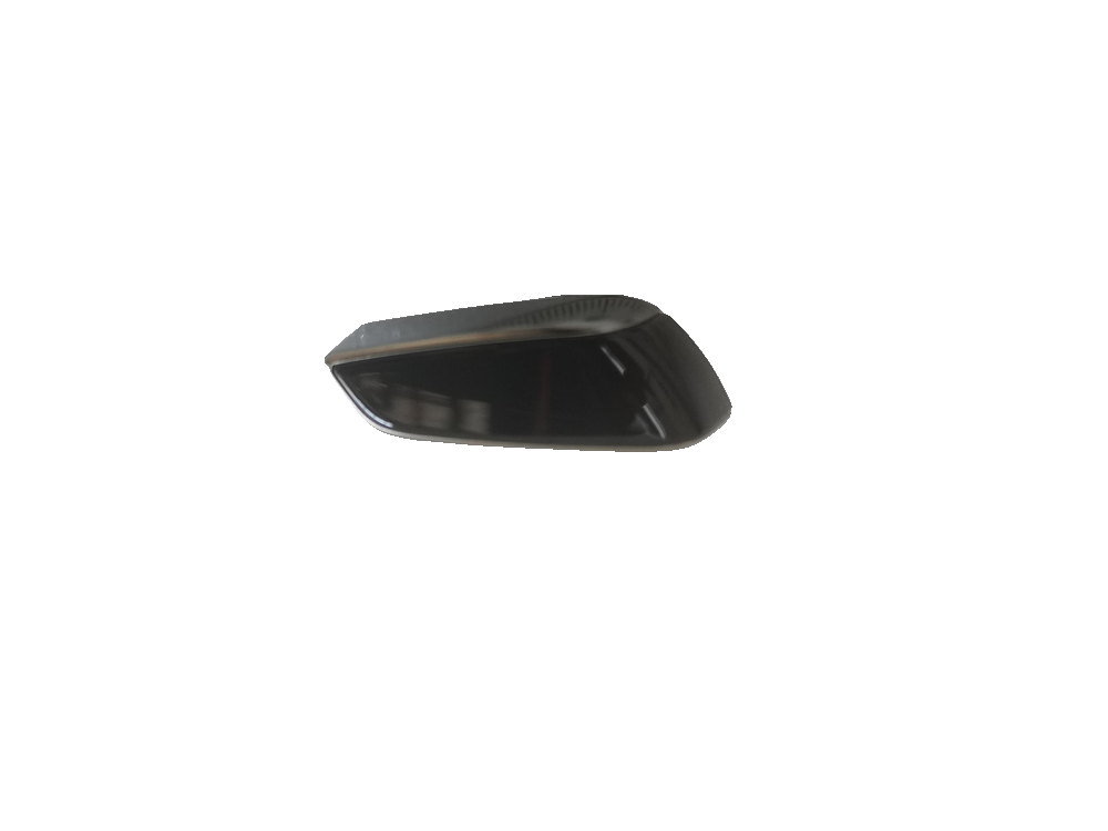 Driver Backrest Adjustment Button
