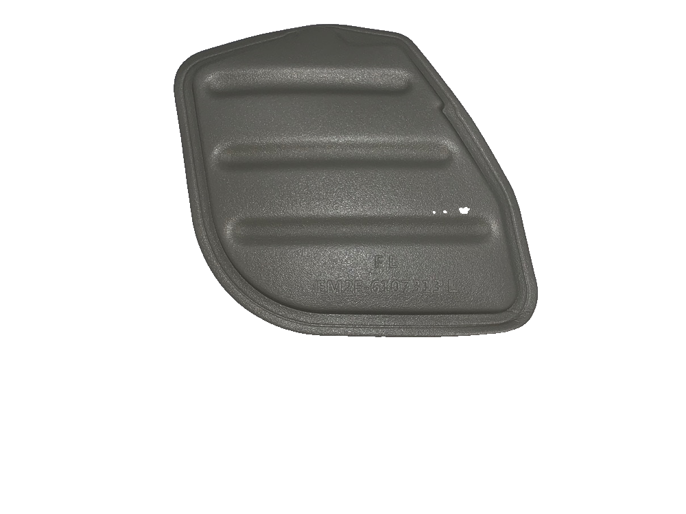 Left front door seal plug II