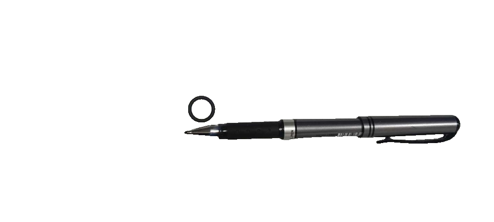 Check Valve O-Ring