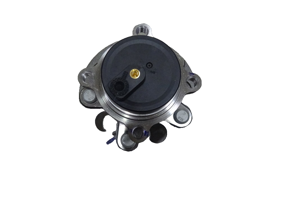 Rear Hub Unit Assembly