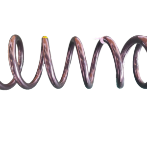Rear Coil Spring Assembly