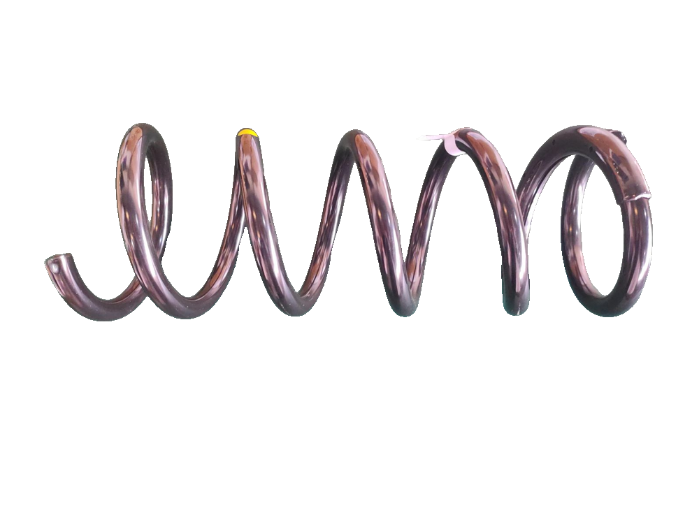 Rear Coil Spring Assembly