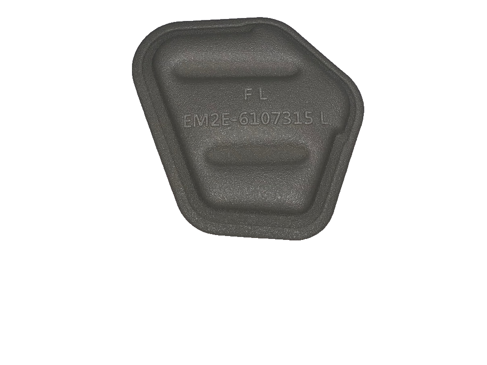 Left front door seal plug III