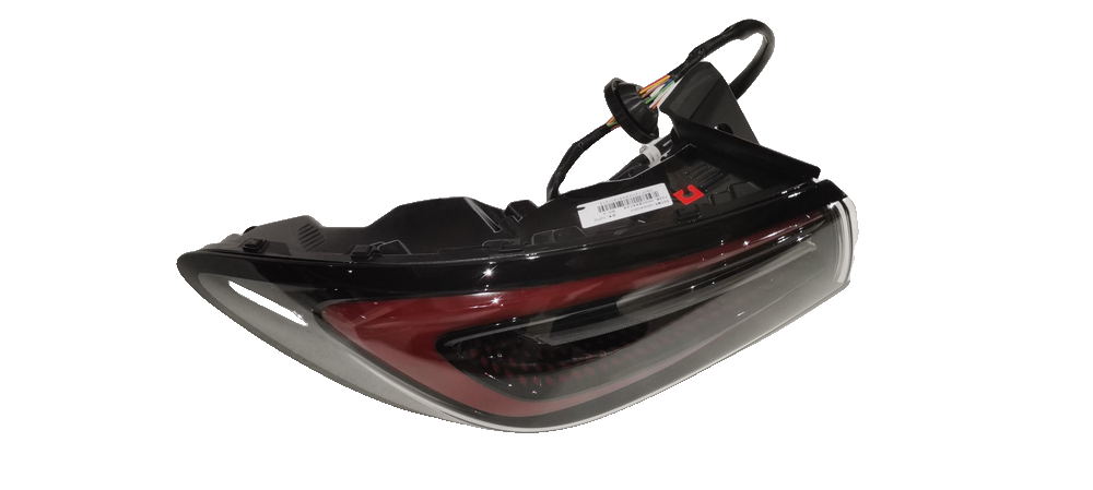 Left Combination Taillamp Assembly