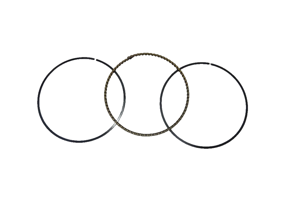 Combination oil ring