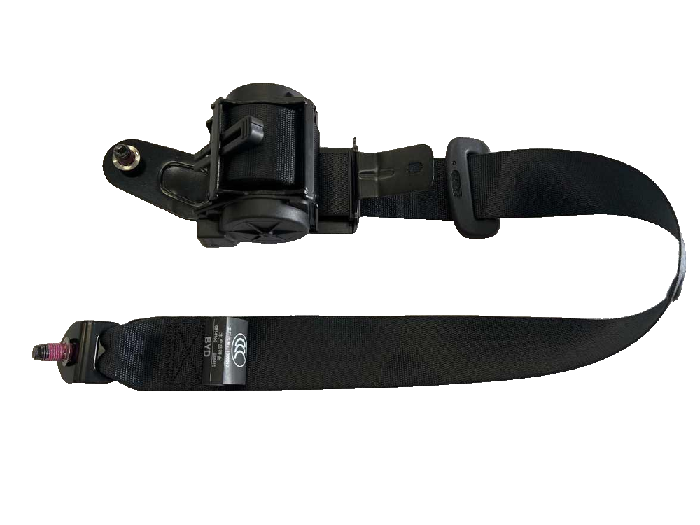 Left Rear Seat Belt Assembly