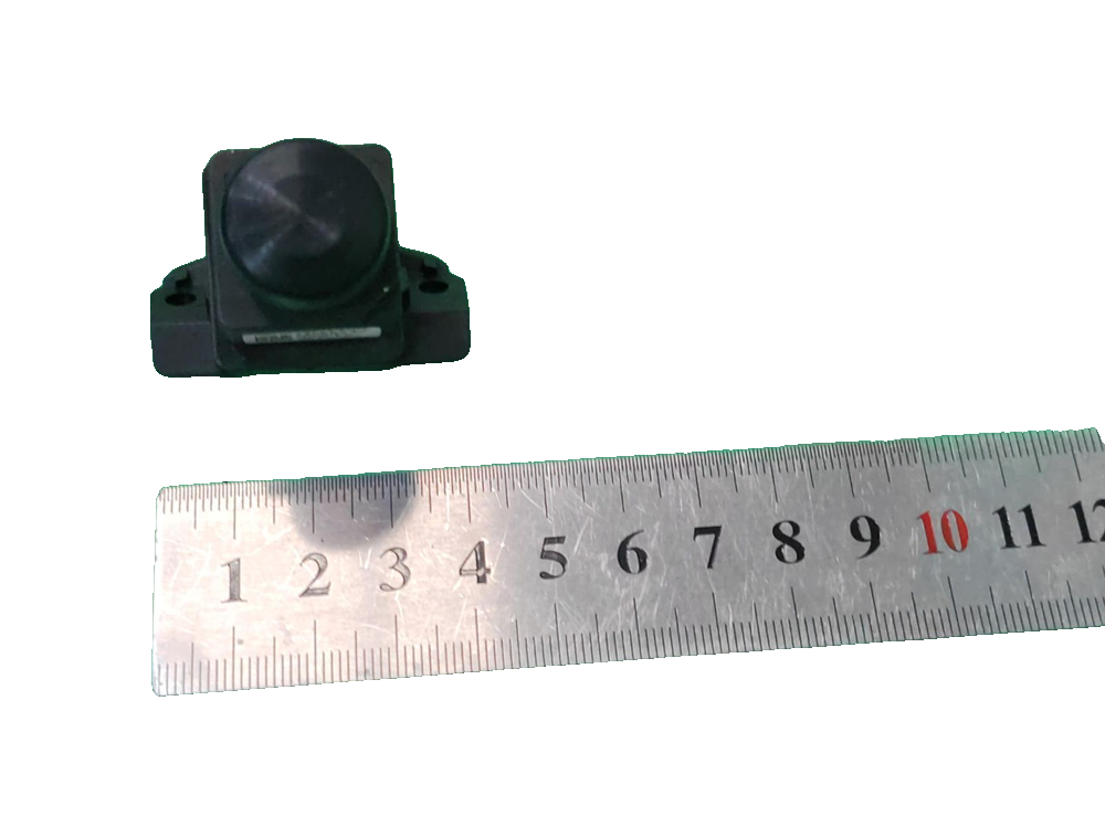 Panoramic Rear View Image Module