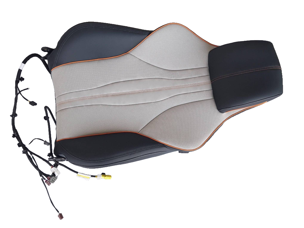 Driver seat backrest assembly