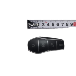 Electronic Smart Key