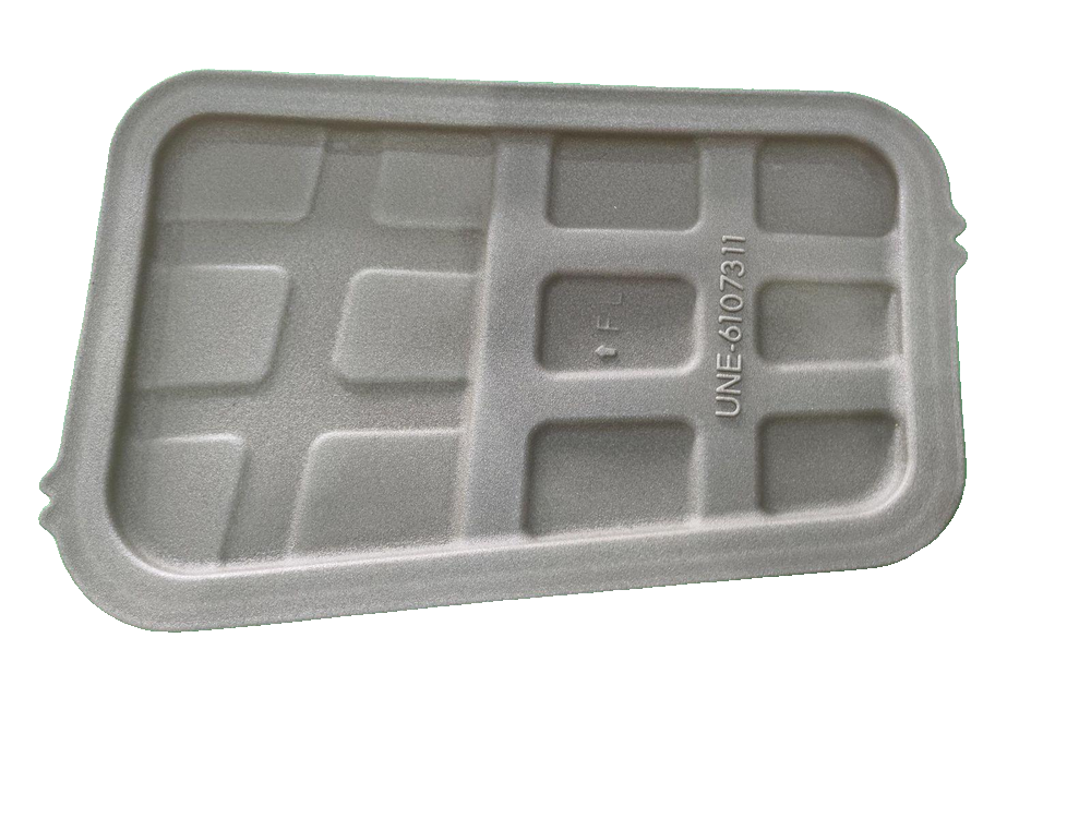 Left front door seal plug I