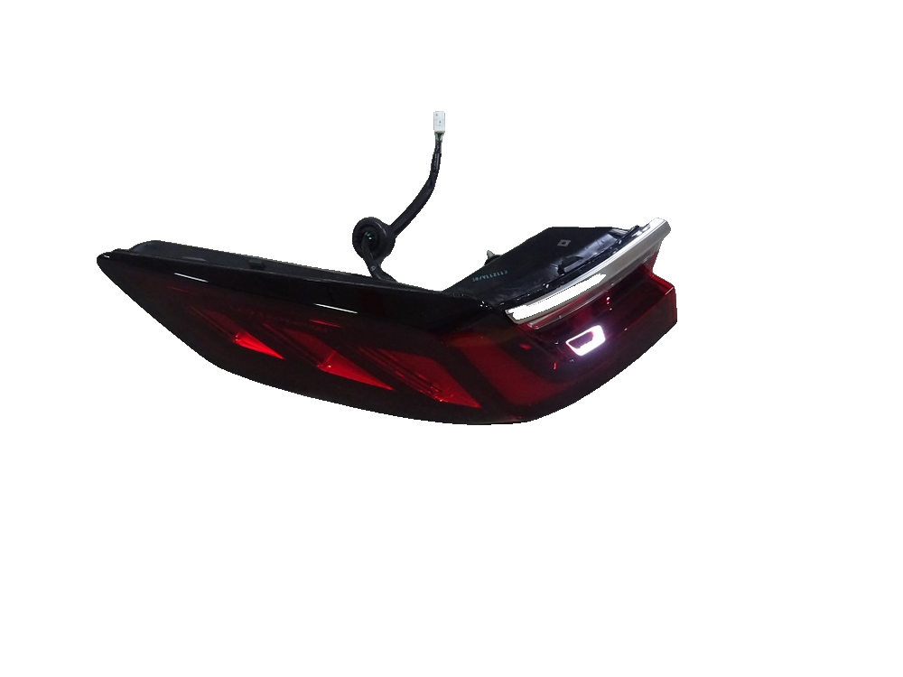 Left Combination Taillamp Assembly