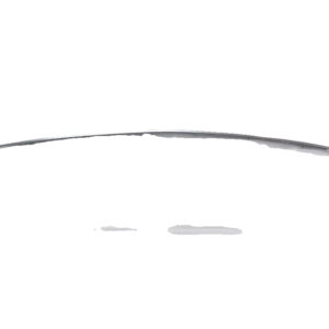 Center Tail Light Trim Strip