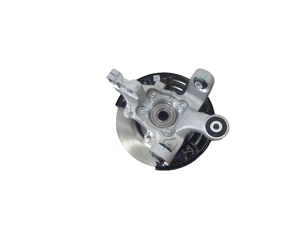 Left Rear Brake Assembly