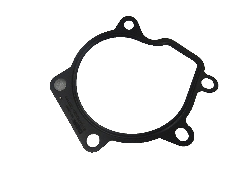 Water Pump Gasket