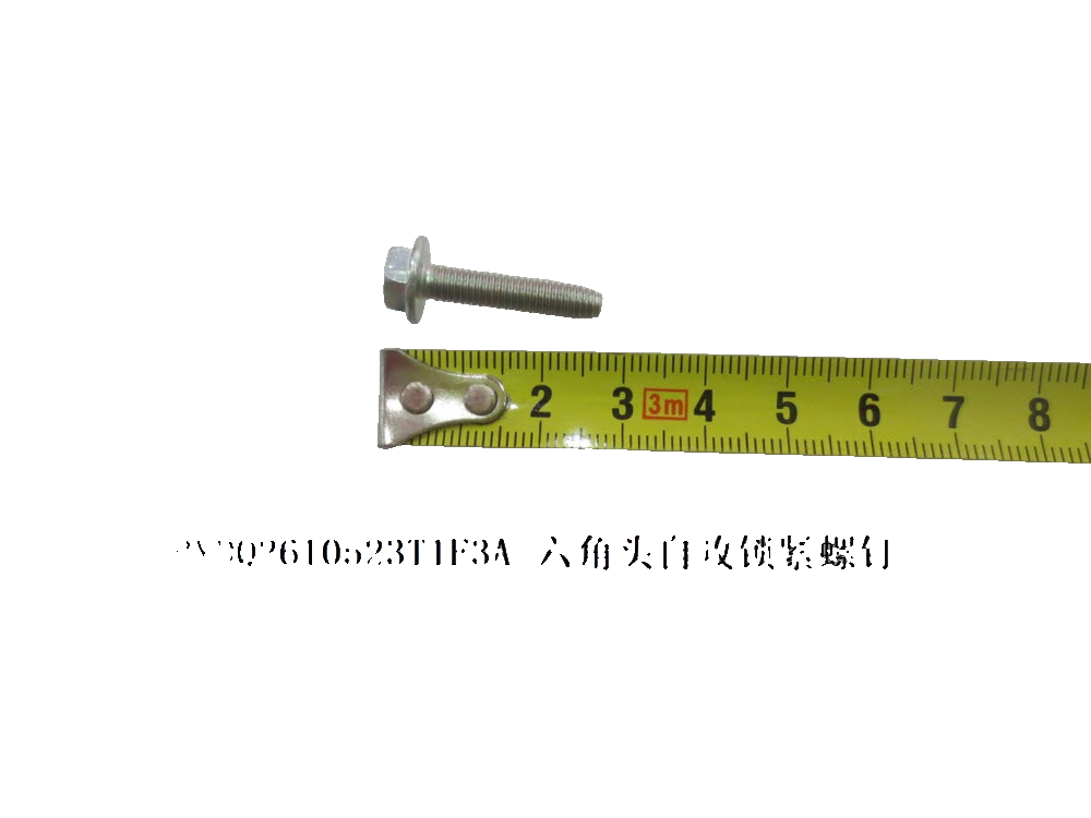 BYDQ2610523T1F3A_Hex Head Self-Tapping Locking Screw