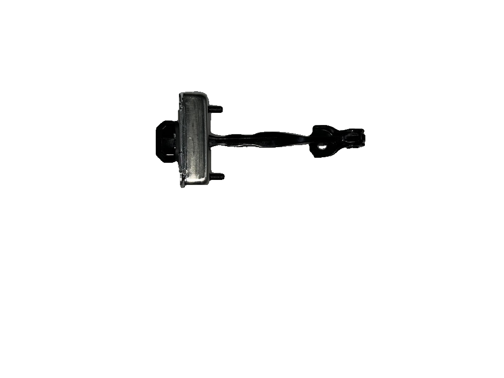 Rear Door Check/Limiter Assembly