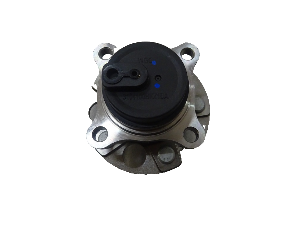Rear Hub Unit Assembly