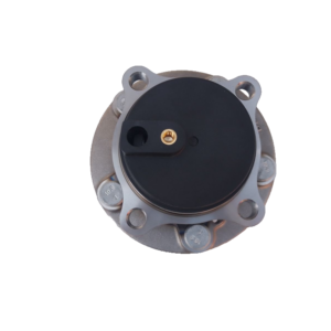 Rear Hub Unit Assembly