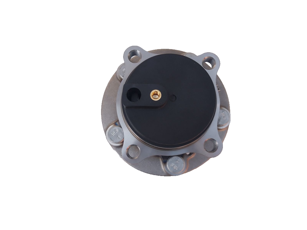 Rear Hub Unit Assembly