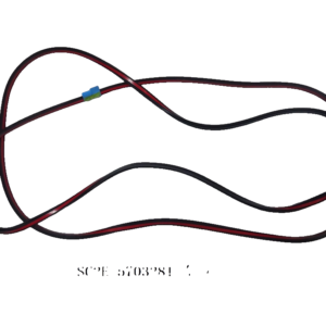 Body Weatherstrip Seal