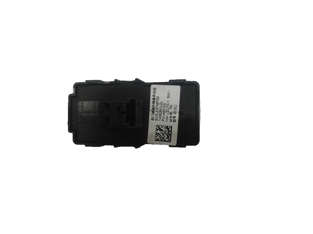 Rear Door Window Regulator Switch Set