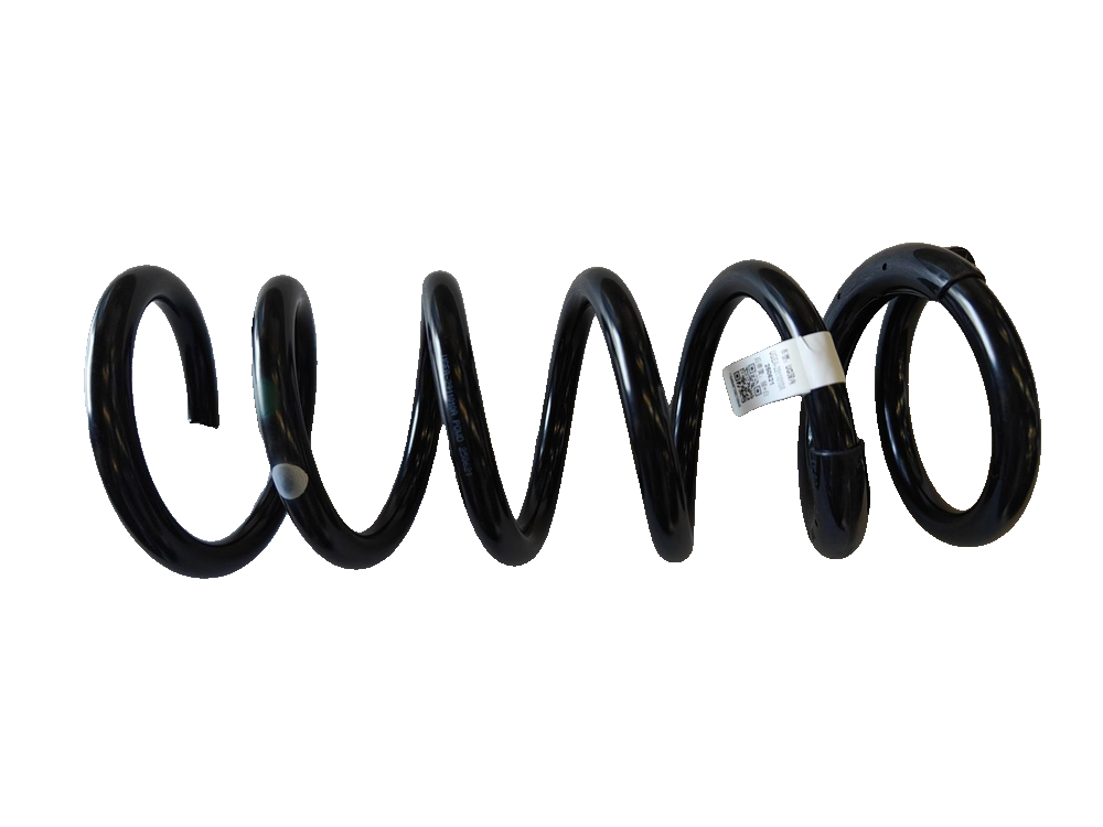 Rear Coil Spring Assembly